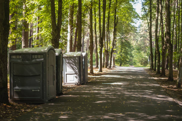 Portable Toilet Options We Offer in Mammoth Spring, AR