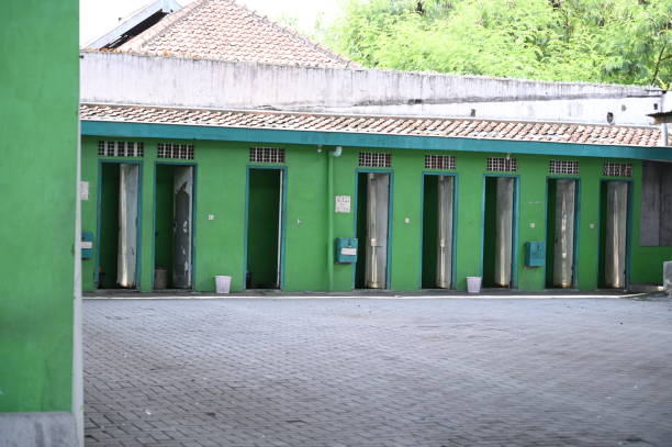 Best Sanitation services for porta potties  in Mammoth Spring, AR