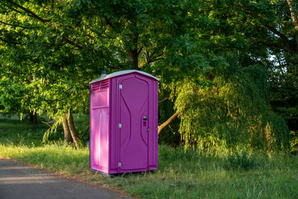 Best Affordable portable toilet rental  in Mammoth Spring, AR